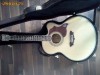Cumpar chitara Washburn Cumberland