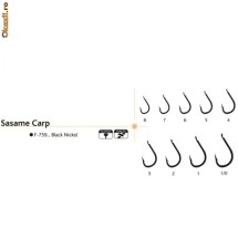 Ace pescuit Sasame Carp foto