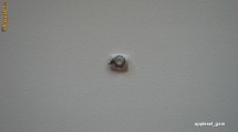 Holder inel metalic jack casti Apple Iphone 3G 3GS White Original foto