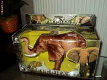 elefant foto