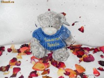ORIGINAL! NOU! Ursulet de plus FOREVER FRIENDS de la ME TO YOU/Tatty Teddy/Jucarii de plus/Jucarii foto