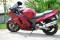 HONDA CBR 1100XX