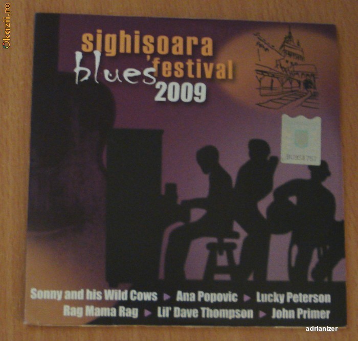 Blues Festival 2009 foto mare