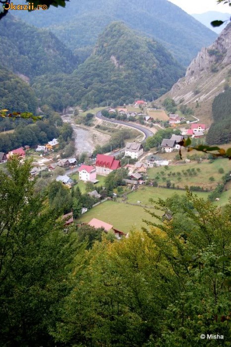 Teren intravilan Lepsa foto mare