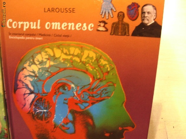ENCICLOPEDIA PENTRU TINERI ------------------- CORPUL OMENESC foto mare