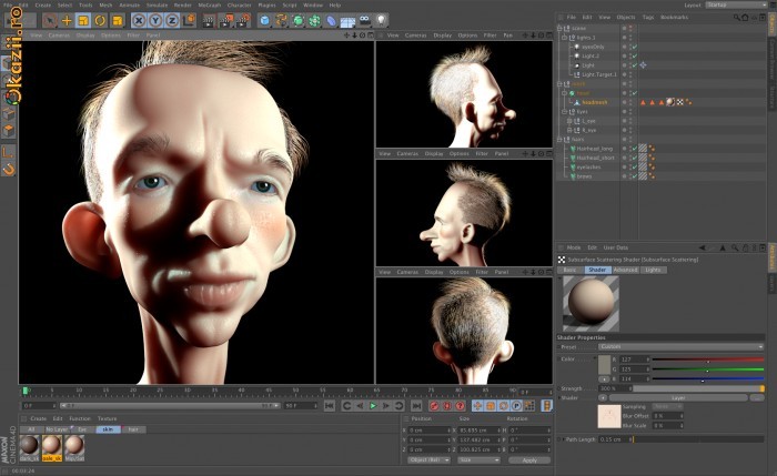 Maxon Cinema 4D Studio V 12 foto mare
