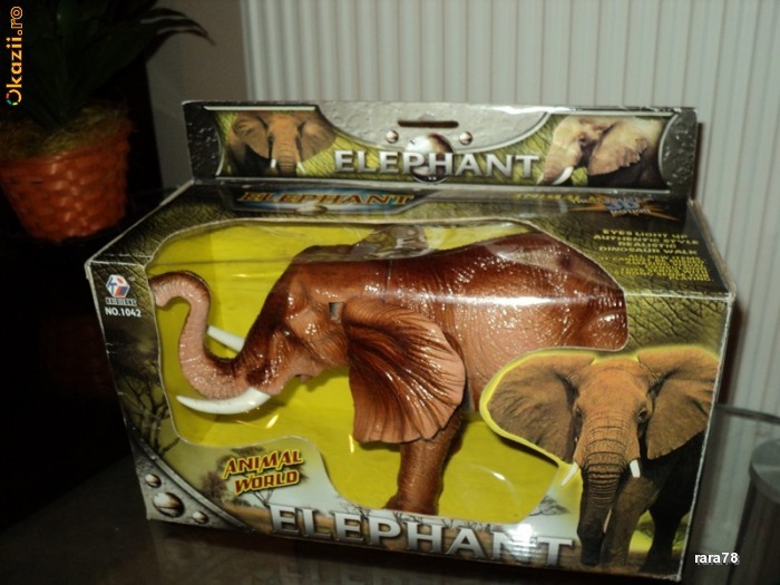 elefant foto mare
