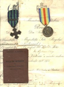 MEDALIILE  VICTORIA SI  CRUCEA WW1 + BREVETE