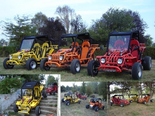 buggy foto mare