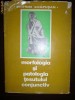 MORFOLOGIA SI PATOLOGIA TESUTULUI CONJUCTIV M. IFRIM I. CAPUSAN