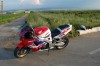 honda 900rr in la pret de iarna