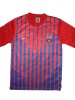 Tricou Nike Steaua Bucuresti Model 2013 livrare gratuita prin posta romana !