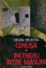 Anticariat Ion Andrei - Cenusa Incendiu intre maslini - Autor : Grazia Deledda - 50817