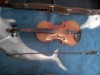 VAND vioara de sfert copy of Antonius Stradivarius