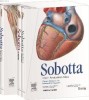 Atlas de anatomie Sobotta lb. germana